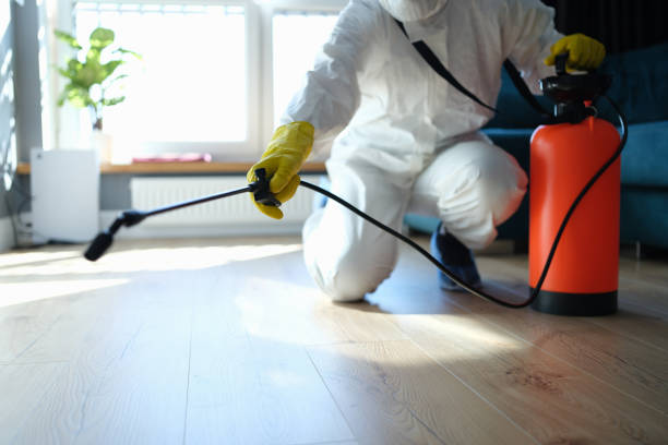 Flea Control Services in Pottsboro, TX
