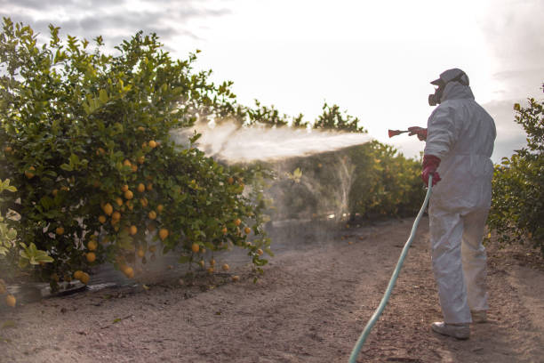 Best Bed Bug Extermination  in Pottsboro, TX