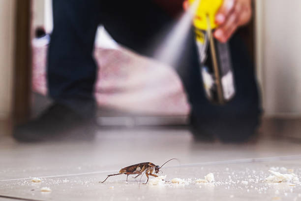 Best Cockroach Control Services  in Pottsboro, TX