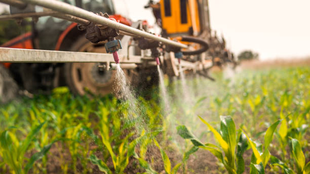 Best Mosquito Control Services  in Pottsboro, TX