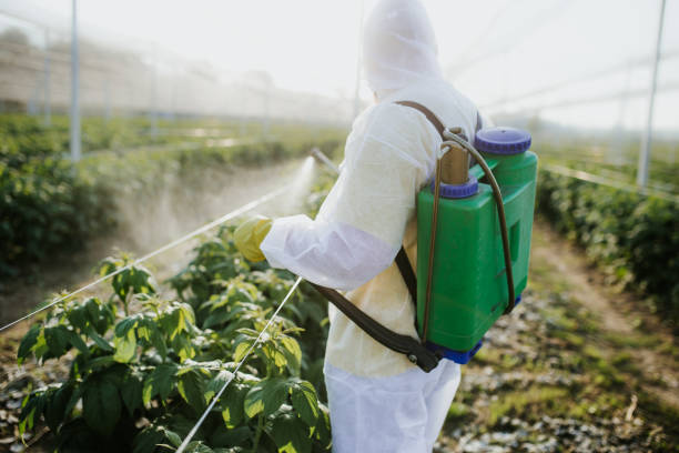Insect Control in Pottsboro, TX